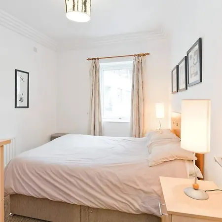 Apartment The Mayor - Ifsc 1 *